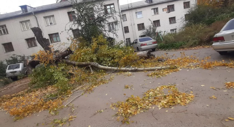 Упавшие деревья, поврежденные машины и отключения света