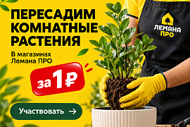 Пересадка растений