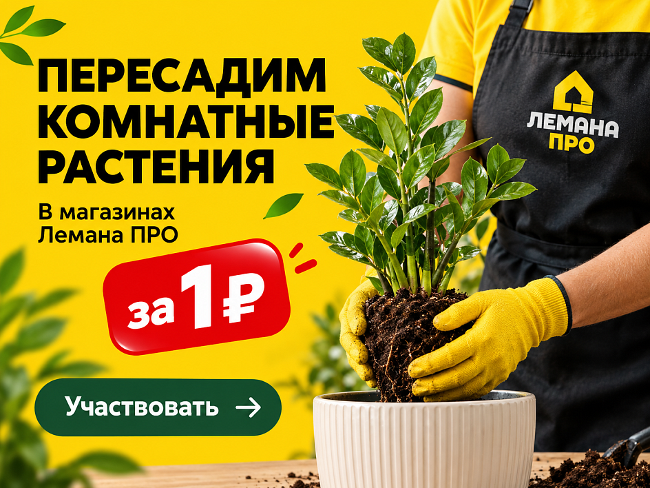 Пересадка растений